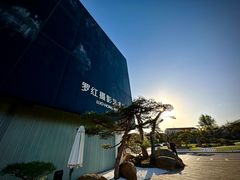 -罗红摄影艺术馆