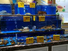 -河马鲜生海鲜超市(风荷园店)