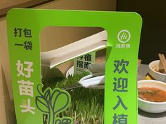 -海底捞火锅(正大乐城店)