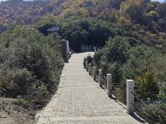 -云顶山风景区