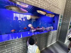 -杭州野生动物世界