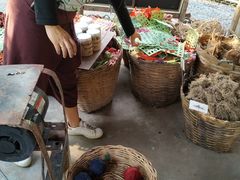 -大象粑粑造纸公园