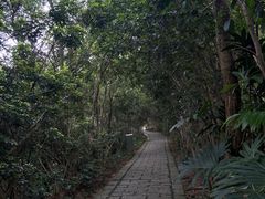 -水濂山森林公园