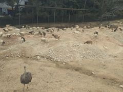 -泉州海丝野生动物世界