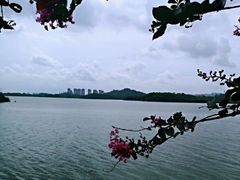 -松山湖南湖湾露营营地