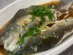 清蒸鲩鱼-银峰农庄·特色烧鸡·鲜无花果浸鸡