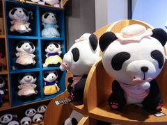 -熊猫屋(宽窄巷子景区店)