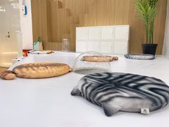 -COLOR PETS 撸猫馆·购猫·猫咖(长风大悦城店)