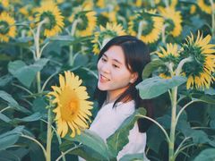 -霞山观海长廊