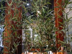 -功夫小龙虾·烧烤·江湖菜(金沙洲店)