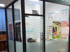 -瑞派雷欧宠物医院·中兽医·眼科·急重症转诊中心(黄台店)
