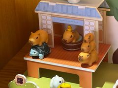 -上海野生动物园老虎餐厅