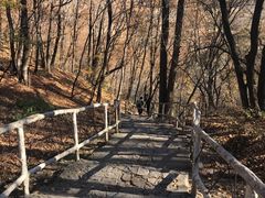 -香炉山国家森林公园
