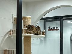-1013 PET SHOP 宠物商店(近铁城市广场店)