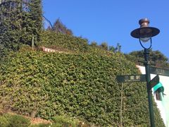 -三鹰之森吉卜力美术馆