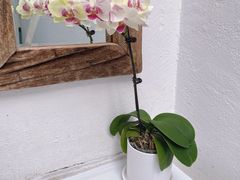 -Carmen卡门西班牙餐厅