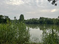 -新荣记(西溪湿地店)