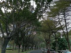 -文华公园(禅城区)