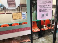 -猫咪博物馆(顶澳仔猫街店)