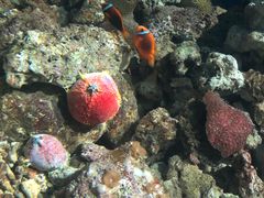 -福州罗源湾海洋世界旅游区