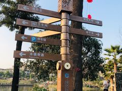 -枫香湖儿童公园