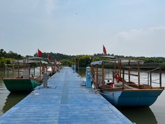 -大湾区中央湿地公园