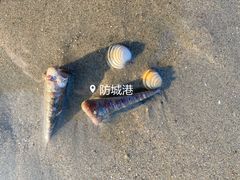 -万尾金滩