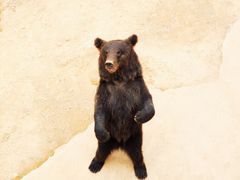 -泉州海丝野生动物世界