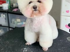 -康乐迪宠物店·洗护·美容·寄养(回龙观店)