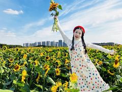 -苏州湾体育公园