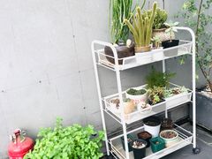 -边渡咖啡烘焙店(昙华林店)