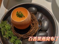 -觀芷隐轩