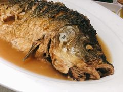 红烧黄河大鲤鱼-阿庄新豫菜(航海东路店)