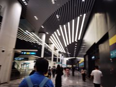 -望京西(地铁站)