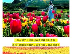 -都江堰玫瑰花溪谷