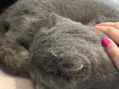 -万达广场(泰安泰山店)