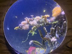 -郑州海洋馆