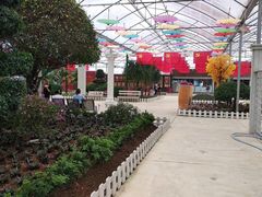 -广东花都香草世界旅游度假区