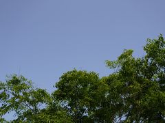 -国际非物质文化遗产博览园