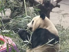 -石家庄市动物园