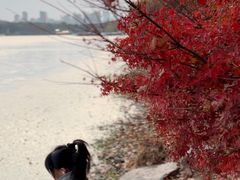 -东湖落雁景区