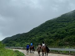 -大连天门山国家森林公园