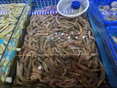 -必点海鲜·鲅鱼水饺(鞍山西道店)
