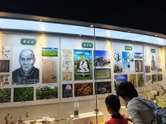 -广东中医药博物馆