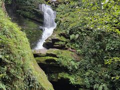 -碧峰峡风景区