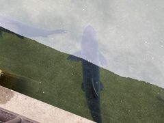 -杭州植物园