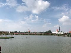 景点-荷兰花海