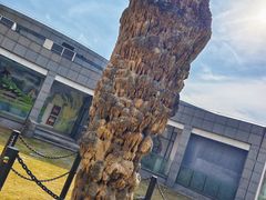 -金钉子远古世界景区