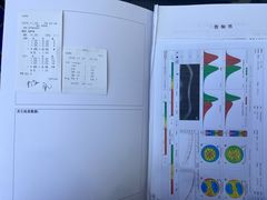 -武汉大学附属爱尔眼科医院(湖北总院)