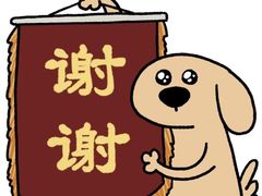 -石家庄万象城